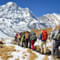 1523613975 trek.jpg?w=60&h=60&dpr=1